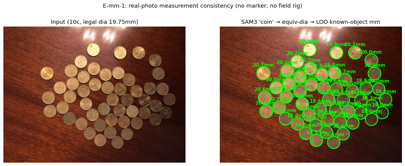 Known-object scale measurement
